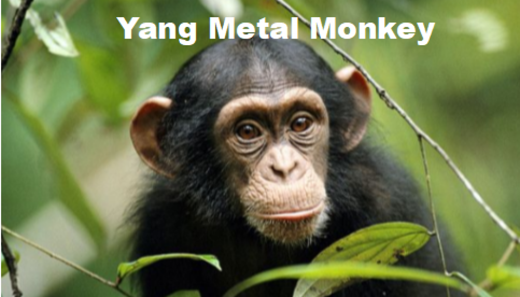 metal monkey