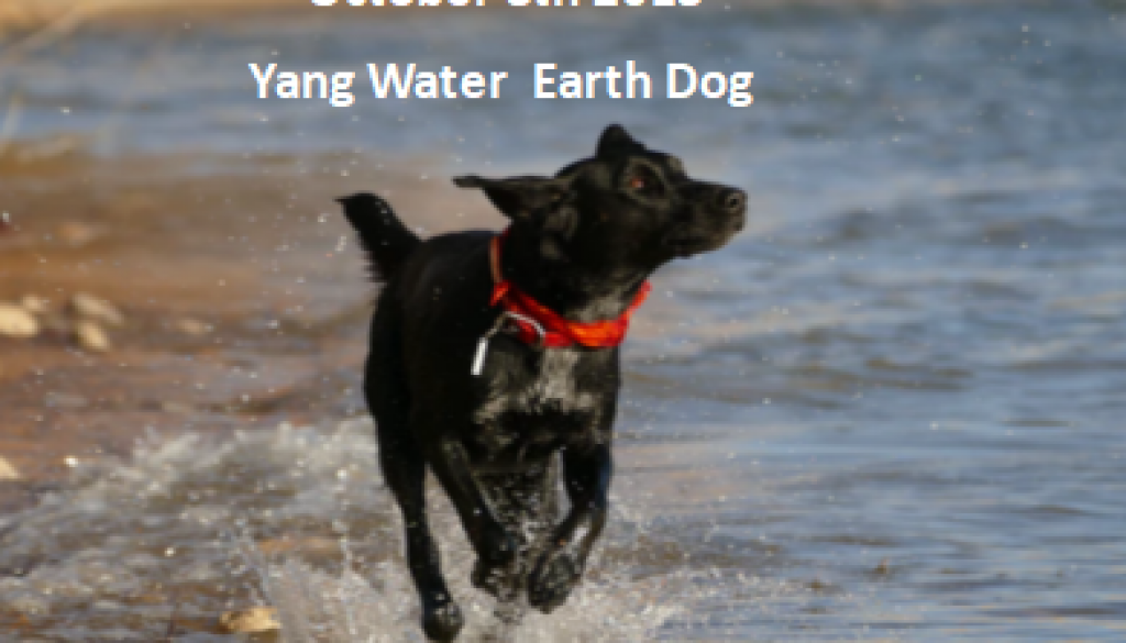 water dog
