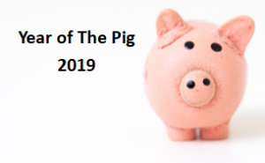 The Year of the Earth Pig 2019 @ Bell Motel | Washington | District of Columbia | United States