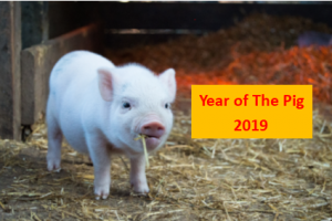 Year of the Earth Pig 2019 Workshop @ The Tea Empress 