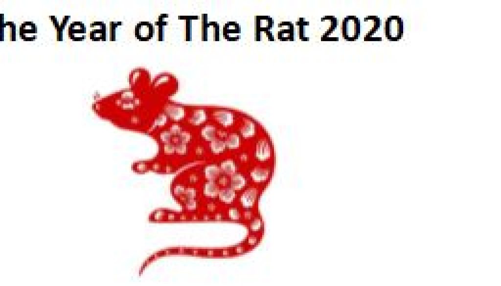 Rat 5