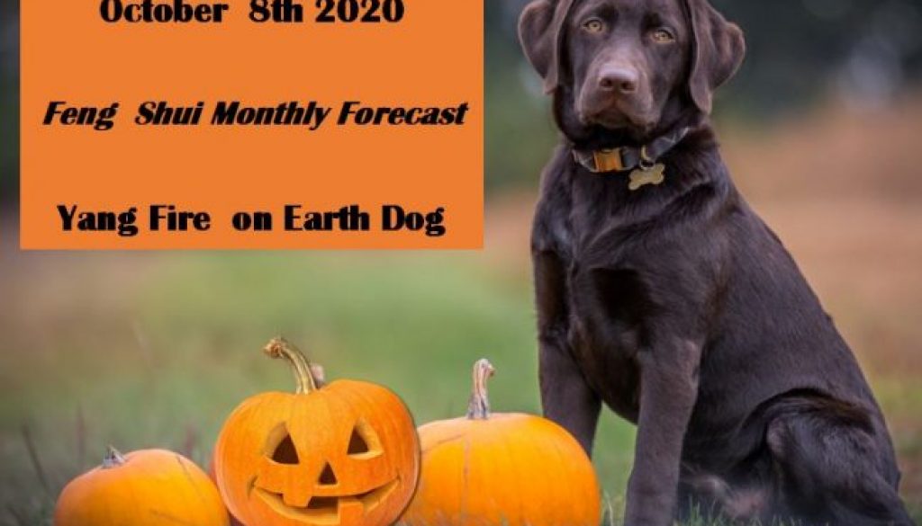 Dog October